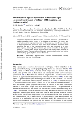 Observations on Age and Reproduction of the Oceanic Squid Ancistrocheirus Lesueurii (D’Orbigny, 1842) (Cephalopoda: Ancistrocheiridae) H.J.T