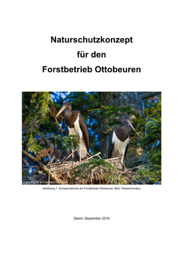 Naturschutzkonzept Für Den Forstbetrieb Ottobeuren