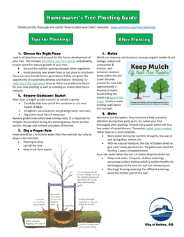 Homeowner's Tree Planting Guide