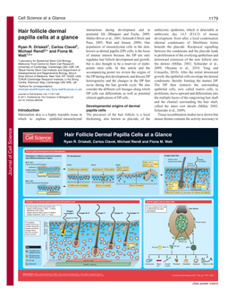 Hair Follicle Dermal Papilla Cells at a Glance