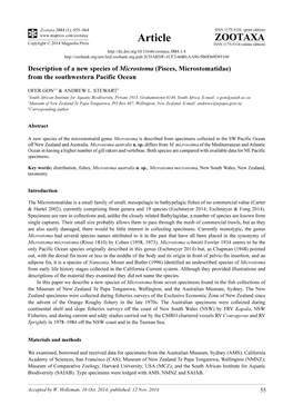 Description of a New Species of Microstoma (Pisces, Microstomatidae) from the Southwestern Pacific Ocean