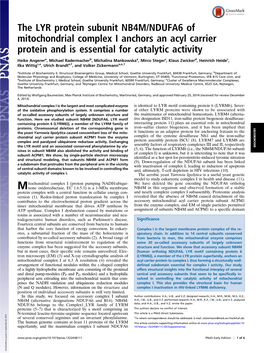 The LYR Protein Subunit NB4M/NDUFA6 of Mitochondrial Complex I Anchors an Acyl Carrier Protein and Is Essential for Catalytic Activity