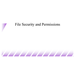 File Security and Permissions
