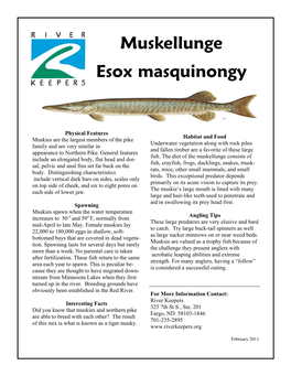 Muskellunge Esox Masquinongy