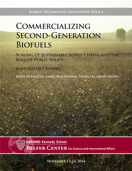 Commercializing Second-Generation Biofuels Scaling up Sustainable Supply Chains and the Role of Public Policy Rapporteur’S Report