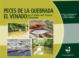 Peces De La Quebrada El Venado En El Valle Del Cauca, Colombia Autores: Carlos E