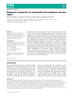 Epigenetic Regulation of Endothelial-Cell-Mediated Vascular Repair Sylvain Fraineau1,2,3, Carmen G