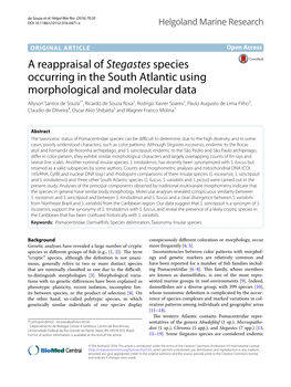 A Reappraisal of Stegastes Species Occurring in the South Atlantic Using