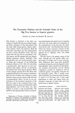 The Taxonomic Position and the Scientific Name of the Big Tree Known As Sequoia Gigantea