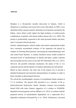 Abstract Renalase Is a Flavoprotein Recently Discovered in Humans