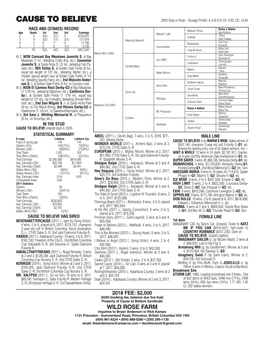 CAUSE to BELIEVE 2003 Gray Or Roan - Dosage Profile: 5-3-8-0-0; DI: 3.00; CD: +0.81