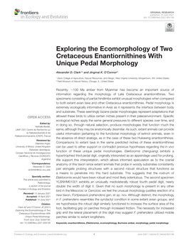 Exploring the Ecomorphology of Two Cretaceous Enantiornithines with Unique Pedal Morphology