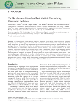 The Baculum Was Gained and Lost Multiple Times During Mammalian Evolution Nicholas G