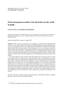 From Stereogram to Surface: How the Brain Sees the World in Depth