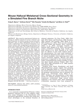 Sectional Geometry in a Simulated Fine Branch Niche