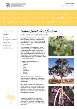 Native Plant Identification CONTACT in the Northern and Yorke Region