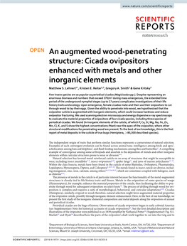 Cicada Ovipositors Enhanced with Metals and Other Inorganic Elements Matthew S