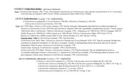 FAMILY Callorhinchidae - Plownose Chimaeras Notes: Callorhynchidae Garman, 1901:77 [Ref