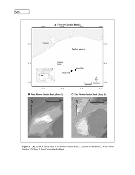 Flower Gardens, USA, Benthos and Fishes