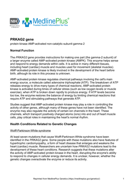 PRKAG2 Gene Protein Kinase AMP-Activated Non-Catalytic Subunit Gamma 2