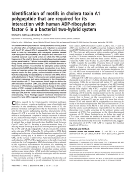 Identification of Motifs in Cholera Toxin A1 Polypeptide That Are Required for Its Interaction with Human ADP-Ribosylation Factor 6 in a Bacterial Two-Hybrid System