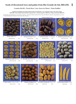 Seeds of Threatened Trees and Palms from Rio Grande Do Sul, BRAZIL 1 Leandro Dal Ri¹; Nicole Rosa²; Josy Zarur De Matos¹; Thais Padilha²