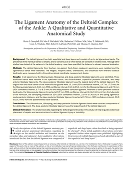 The Ligament Anatomy of the Deltoid Complex of the Ankle: a Qualitative and Quantitative Anatomical Study