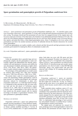 Spore Germination and Gametophyte Growth of Polypodium Cambricum Fern