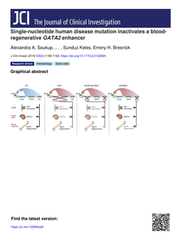 Single-Nucleotide Human Disease Mutation Inactivates a Blood- Regenerative GATA2 Enhancer