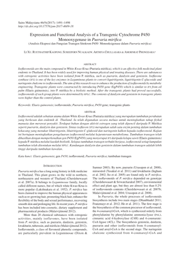 Expression and Functional Analysis of a Transgenic Cytochrome P450