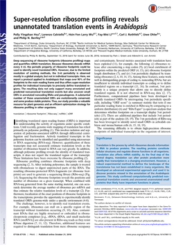 Super-Resolution Ribosome Profiling Reveals Unannotated Translation Events in Arabidopsis