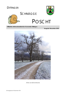 POSCHT Offizielles Informationsblatt Der Gemeinde Dittingen Ausgabe Dezember 2015