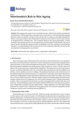 Mitochondria's Role in Skin Ageing