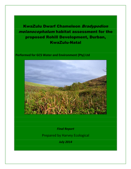 Kwazulu Dwarf Chameleon Bradypodion Melanocephalum Habitat Assessment for the Proposed Rohill Development, Durban, Kwazulu-Natal