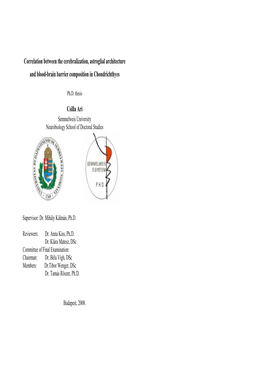 Correlation Between the Cerebralization, Astroglial Architecture and Blood-Brain Barrier Composition in Chondrichthyes