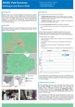 RIGSS: Field Summary Maiduguri and Borno State