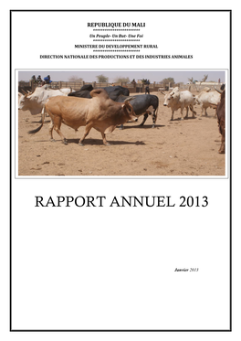 Rapport Annuel 2013