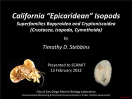 California “Epicaridean” Isopods Superfamilies Bopyroidea and Cryptoniscoidea (Crustacea, Isopoda, Cymothoida)