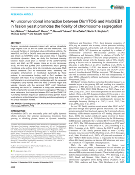 An Unconventional Interaction Between Dis1/TOG and Mal3/EB1 in Fission Yeast Promotes the Fidelity of Chromosome Segregation Yuzy Matsuo1,2, Sebastian P