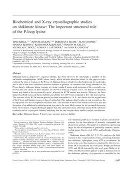 The Important Structural Role of the P-Loop Lysine