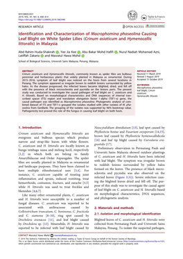 Identification and Characterization of Macrophomina Phaseolina Causing Leaf Blight on White Spider Lilies (Crinum Asiaticum and Hymenocallis Littoralis) in Malaysia