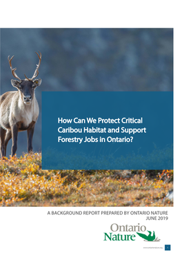 How Can We Protect Critical Caribou Habitat and Support Forestry Jobs in Ontario?