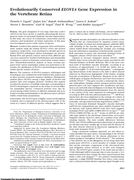 Evolutionarily Conserved ELOVL4 Gene Expression in the Vertebrate Retina