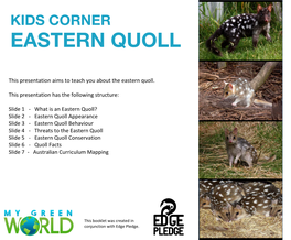 Eastern Quoll