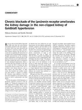 (Pro)Renin Receptor Ameliorates the Kidney Damage in the Non-Clipped Kidney of Goldblatt Hypertension