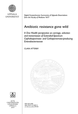 Antibiotic Resistance Gone Wild