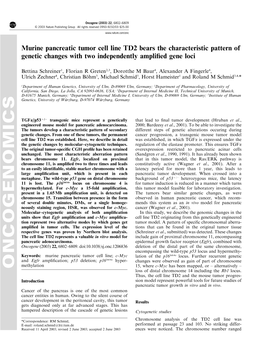 Murine Pancreatic Tumor Cell Line TD2 Bears the Characteristic Pattern of Genetic Changes with Two Independently Amplified Gene Loci