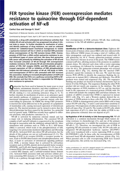 FER Tyrosine Kinase (FER) Overexpression Mediates Resistance to Quinacrine Through EGF-Dependent Activation of NF-Κb