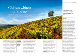 Chilean Whites