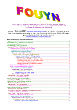 Histoire Des Familles FOUIN, FOUYN Châtelais, Craon, Cosmes, La Chapelle-Craonnaise, Pouancé